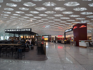P3122870.jpg