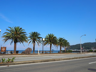 伊豆半島の海沿い