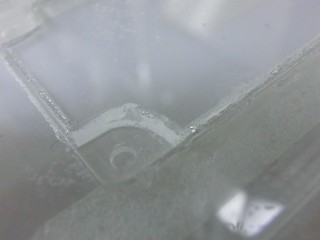 small_CIMG6718