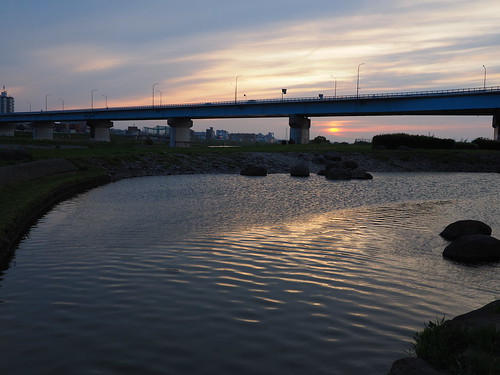P4240271