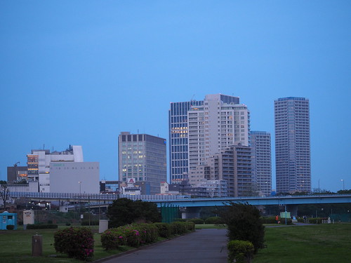 P4240276
